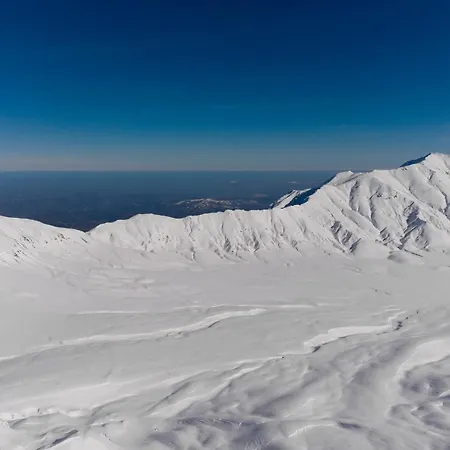 Fiordigigli Hotel 3*