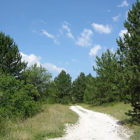 酒店 菲奥尔蒂格吉里酒店 3*