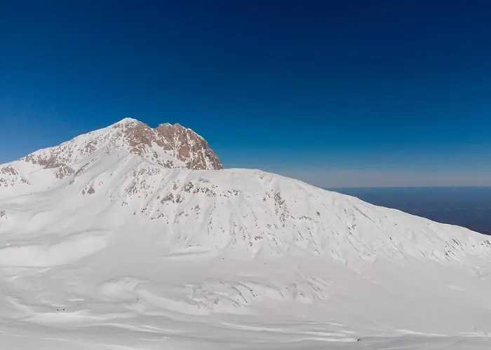 Отель Fiordigigli