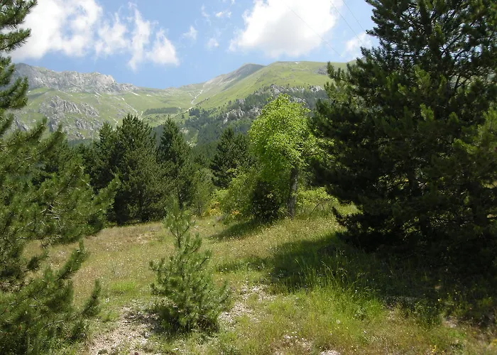 Hotel Fiordigigli 3*