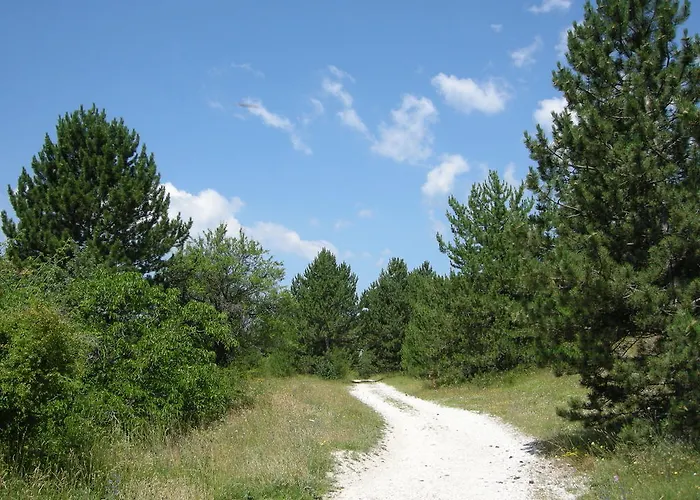 Отель Fiordigigli 3*