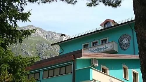 Отель Fiordigigli